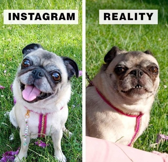 Блогер демонстрирует, как смотрится действительность за границами Instagram Приколы,instagram,иллюзия,природа,сон,фото