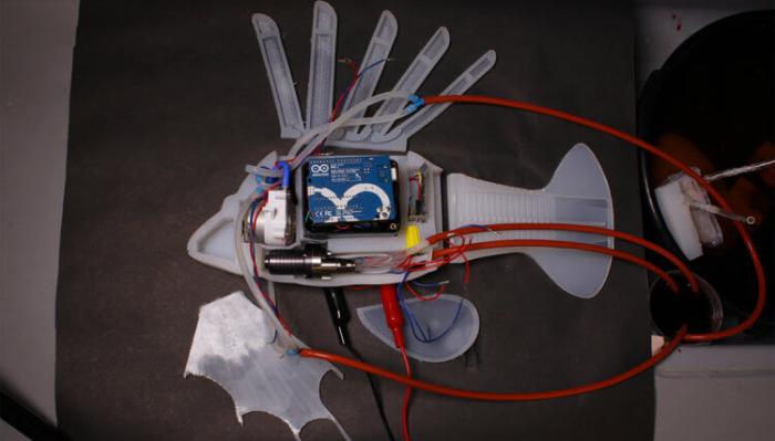 Этот робот-рыба использует энергию «кровотока» для движения хай-тек