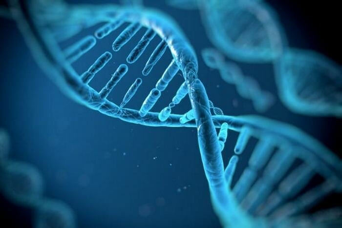 10 открытий, которые были сделаны благодаря анализу древних ДНК   Интересное