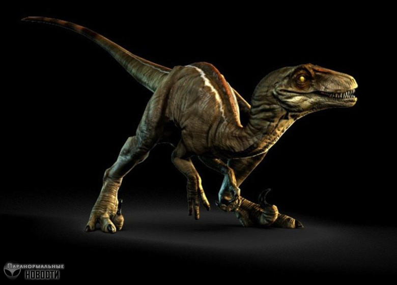Встречи с живыми динозаврами в «зоне четырех углов»‎ США Тайны и мифы