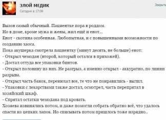 Курйозні випадки з лікарської практики. Частина 47 (55 скріншота)